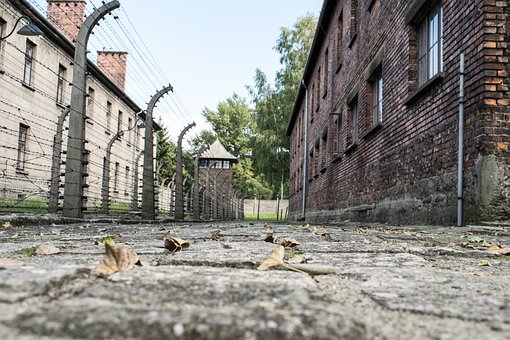 Blick auf die Zaunanlage der Gedenkstätte Auschwitz. Foto: Pixabay
